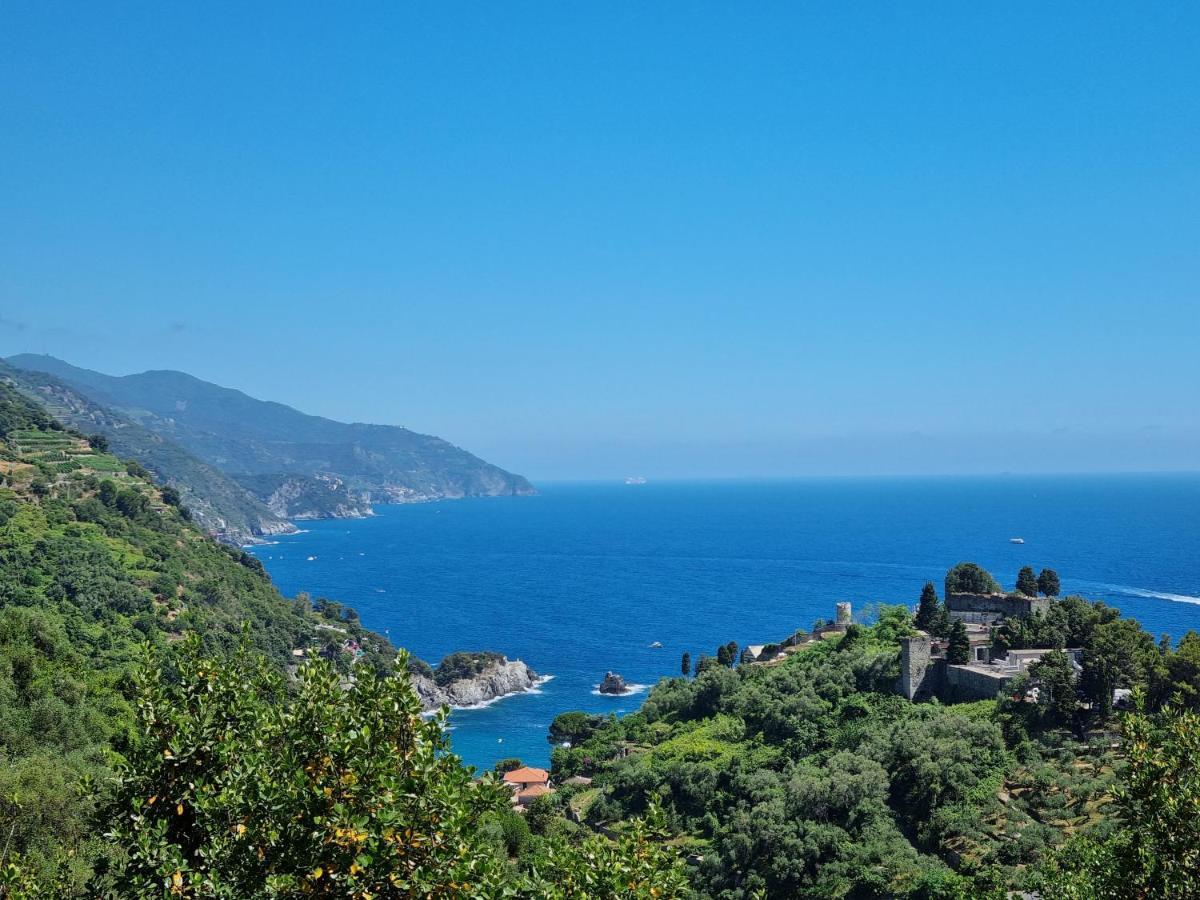 Chalet 4 Or 6 Persons Toscana Viareggio Camping Bosco Verde Italie Torre do Lago Puccini Exterior foto